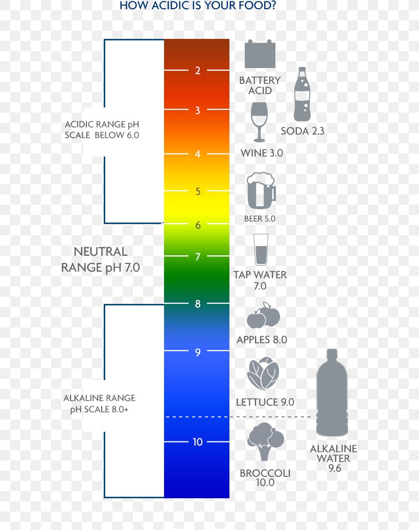 PH Water Alkaline Diet Acid, PNG, 578x1036px, Water, Acid, Alkali ...
