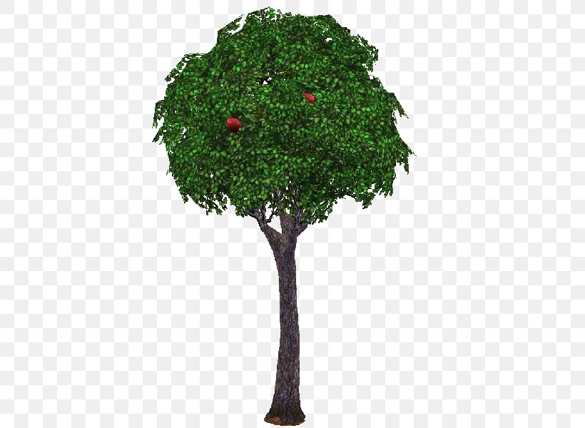 The Sims 3 Branch Tree Garden The Sims 4, PNG, 800x600px, Sims 3, Bonsai, Branch, Flowerpot, Fruit Tree Download Free