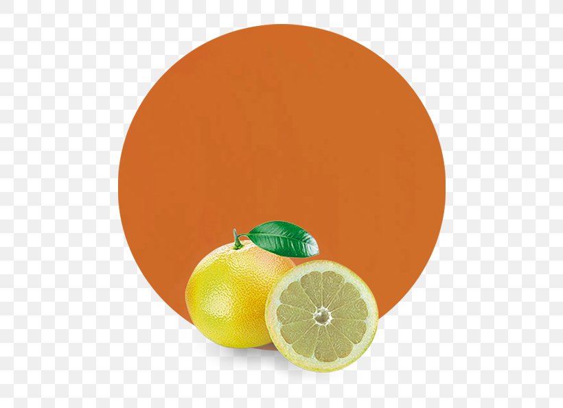 Clementine Grapefruit Tangerine Tangelo Mandarin Orange, PNG, 536x595px, Clementine, Bergamot Orange, Blood Orange, Citric Acid, Citrus Download Free