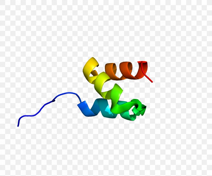 HUWE1 Ubiquitin Ligase Protein, PNG, 1200x1000px, Ubiquitin Ligase, Animal Figure, Baby Toys, Body Jewelry, Enzyme Download Free