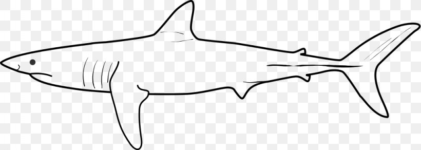 Requiem Sharks Marine Mammal Marine Biology Clip Art, PNG, 1024x365px, Requiem Sharks, Area, Artwork, Biology, Black And White Download Free
