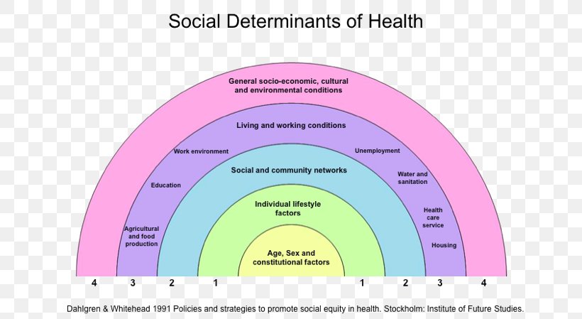 Social Determinants Of Health Health Care Public Health Population Health, PNG, 700x449px, Social Determinants Of Health, Area, Brand, Diagram, Disease Download Free