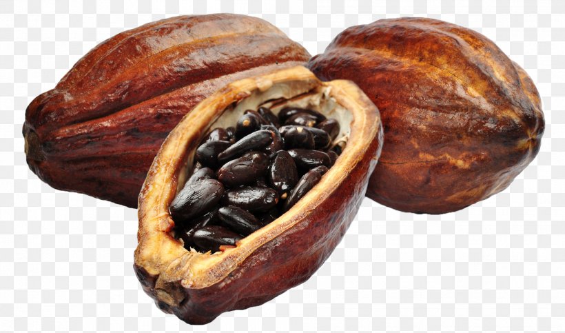 Cocoa Bean Cocoa Solids Chocolate Smoothie Criollo, PNG, 1906x1124px, Cocoa Bean, Chocolate, Cocoa Solids, Commodity, Criollo Download Free