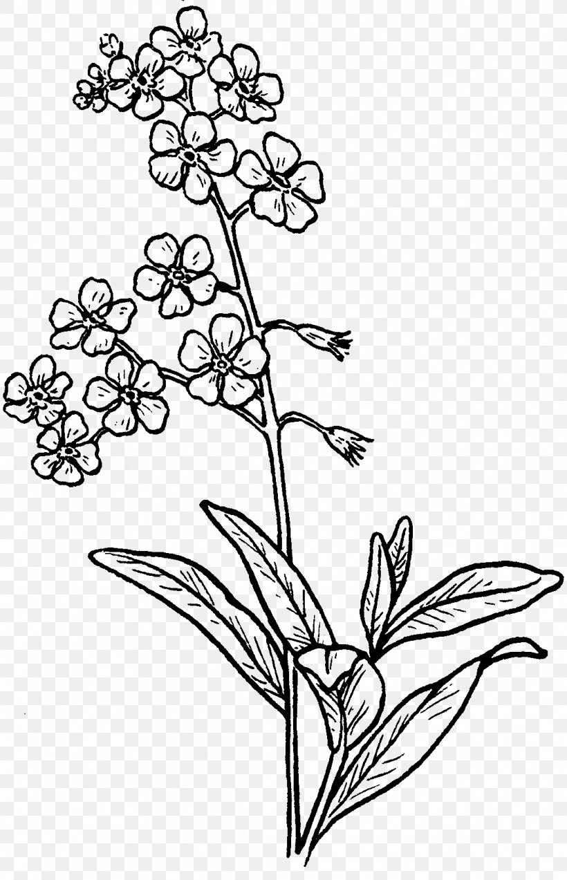 Floral Design The Mangawhai Focus Visual Arts, PNG, 1118x1736px, Floral Design, Advertising, Agriculture, Art, Blackandwhite Download Free