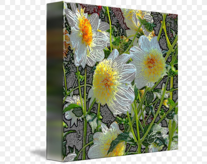 Gallery Wrap Yellow Canvas Daisy Family Art, PNG, 606x650px, Gallery Wrap, Art, Canvas, Common Daisy, Dahlia Download Free
