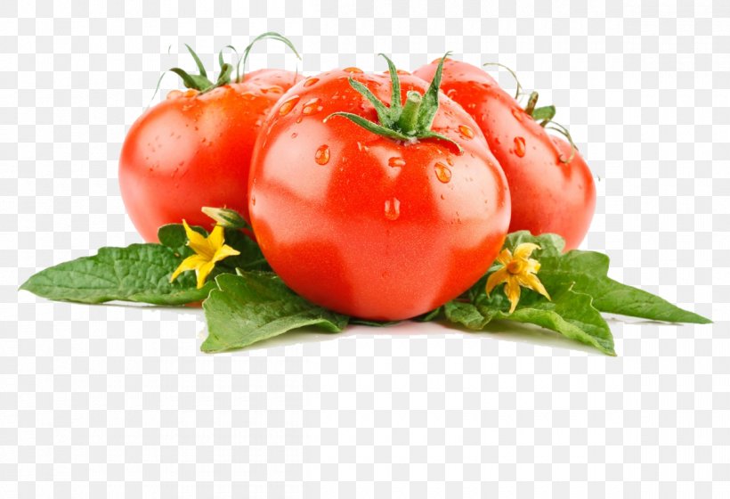 Vegetable Tomato Lettuce Fruit, PNG, 1200x820px, Vegetable, Bush Tomato, Cabbage, Cucumber, Cuisine Download Free