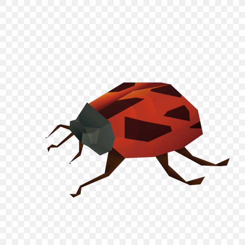 Insect Ladybird Euclidean Vector, PNG, 1500x1500px, Insect, Arthropod, Beetle, Coccinella Septempunctata, Cockroach Download Free