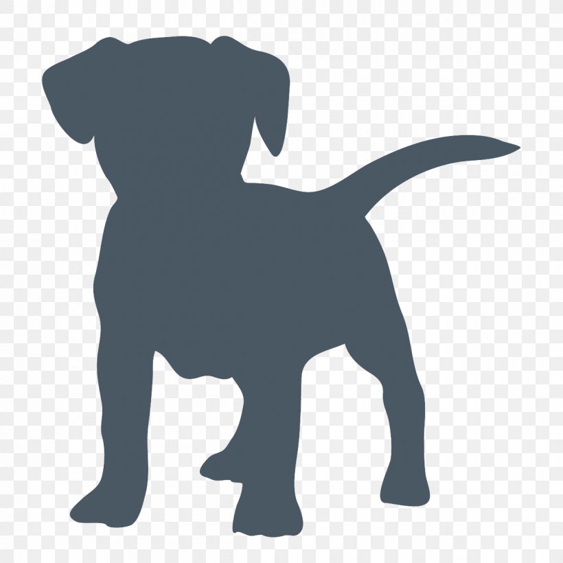 Labrador Retriever Puppy Jack Russell Terrier Golden Retriever Newfoundland Dog, PNG, 1200x1200px, Labrador Retriever, Canidae, Carnivore, Cat, Dog Download Free