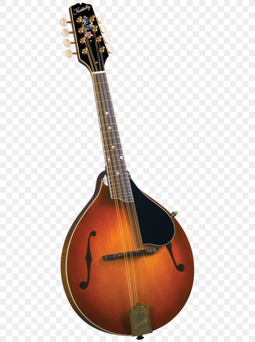 Mandolin NAMM Show Musical Instruments Musician Acoustic Guitar, PNG, 693x1100px, Watercolor, Cartoon, Flower, Frame, Heart Download Free