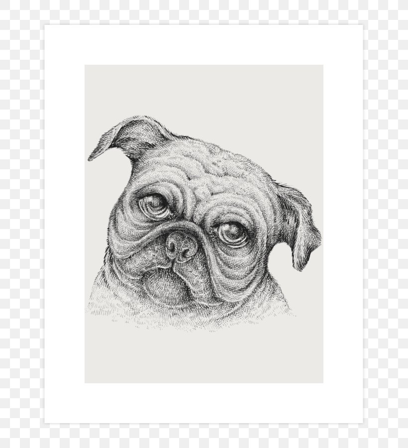 Pug Puppy Dog Breed Drawing Sketch, PNG, 740x900px, Pug, Art, Carnivoran, Dog, Dog Breed Download Free