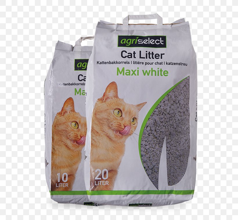 Whiskers Bentonite Cat Litter Trays Kitten, PNG, 567x757px, Whiskers, Bedding, Bentonite, Carnivoran, Cat Download Free