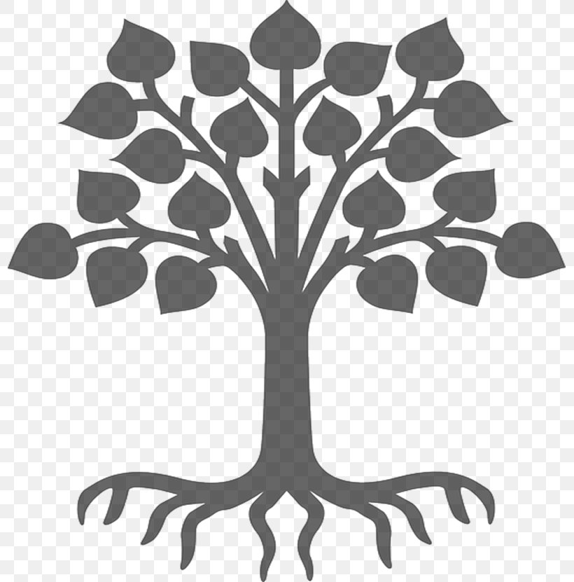 Tree Of Life Business Organization Root, PNG, 797x831px, Tree, Black And White, Branch, Business, Family Download Free