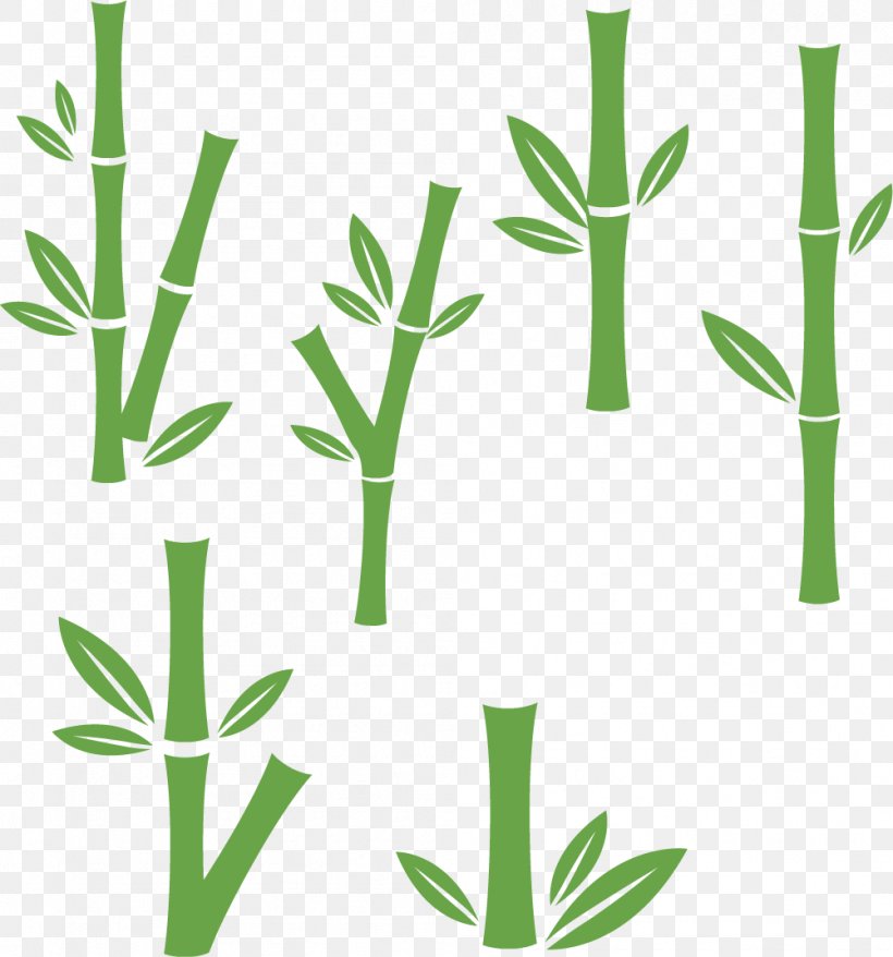 Bamboo Euclidean Vector, PNG, 1001x1072px, Bamboo, Bamboe, Drawing, Grass, Grass Family Download Free