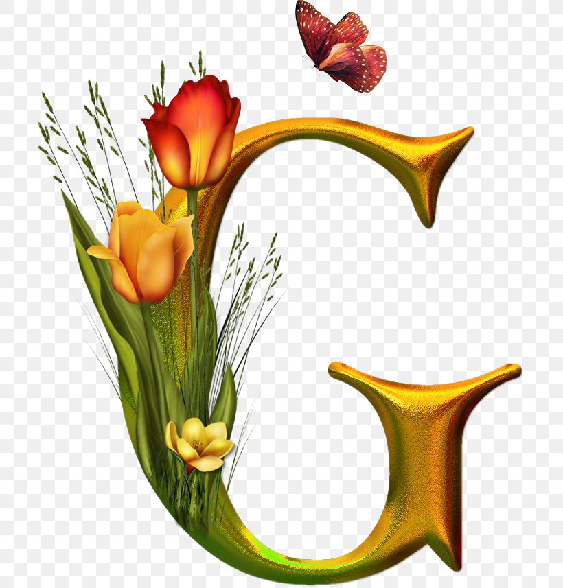 Letter Spanish Alphabet Y Png 709x857px Letter Alphabet Art Cut Flowers Decoupage Download Free