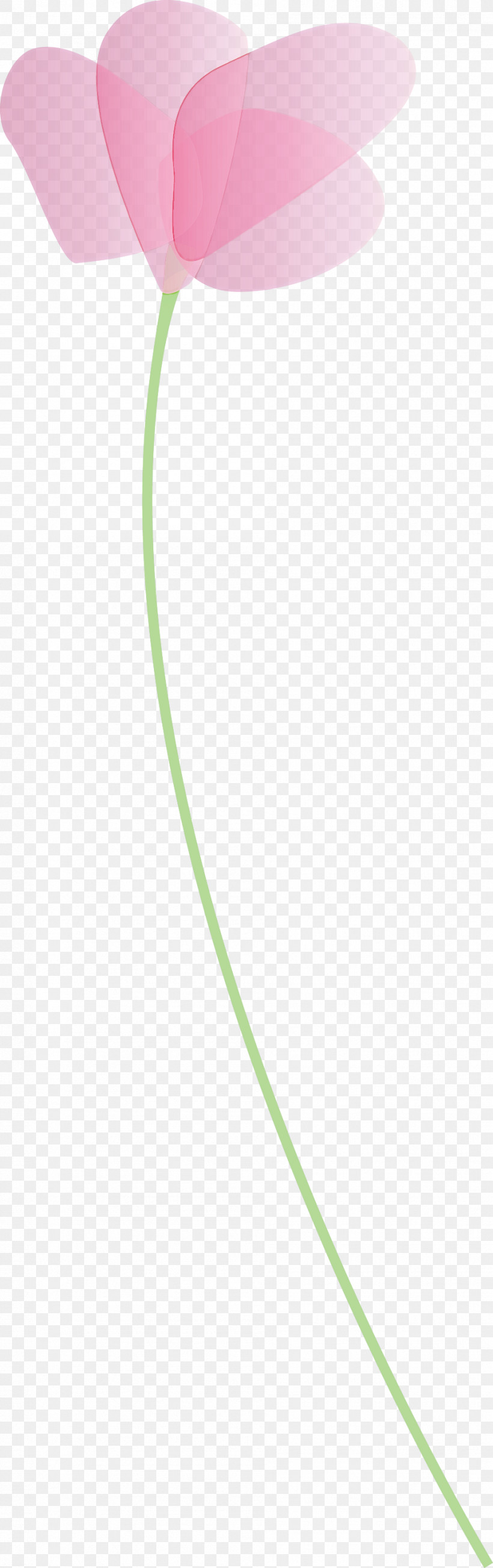 Poppy Flower, PNG, 945x3000px, Poppy, Flower, Green, Line, Plant Download Free