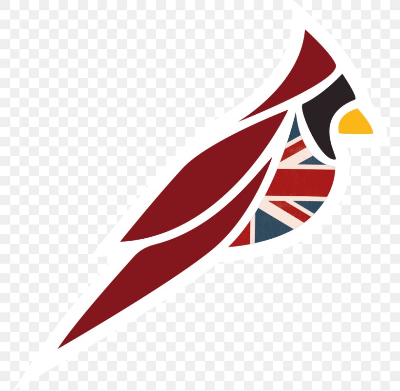 United Kingdom Arizona Cardinals Chicago Bears NFL, PNG, 768x801px, United Kingdom, Arizona, Arizona Cardinals, Beak, Bird Download Free