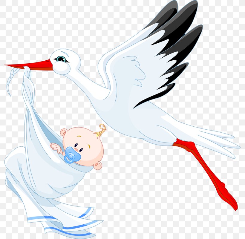 White Stork Infant Clip Art, PNG, 791x800px, White Stork, Art, Beak, Bird, Ciconiiformes Download Free