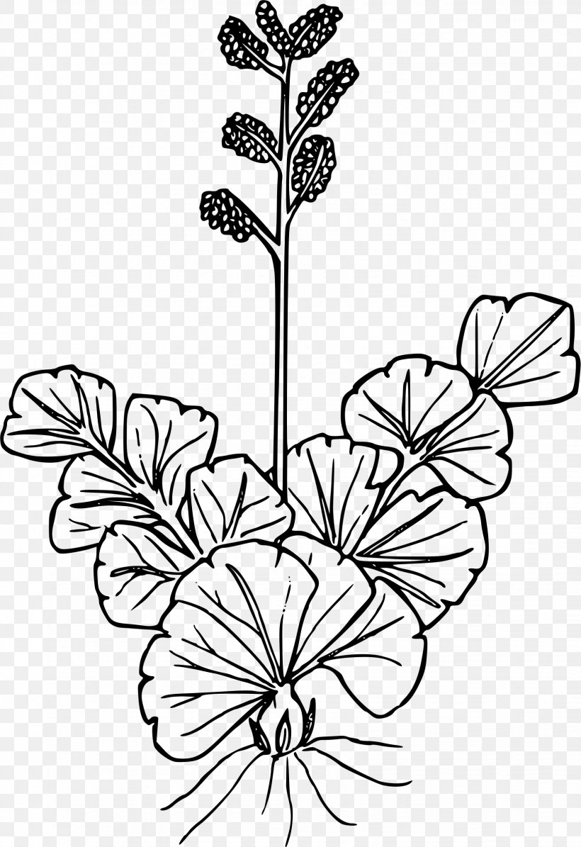 Wildflower Drawing Line Art, PNG, 1646x2400px, Wildflower, Black And White, Branch, Cut Flowers, Drawing Download Free