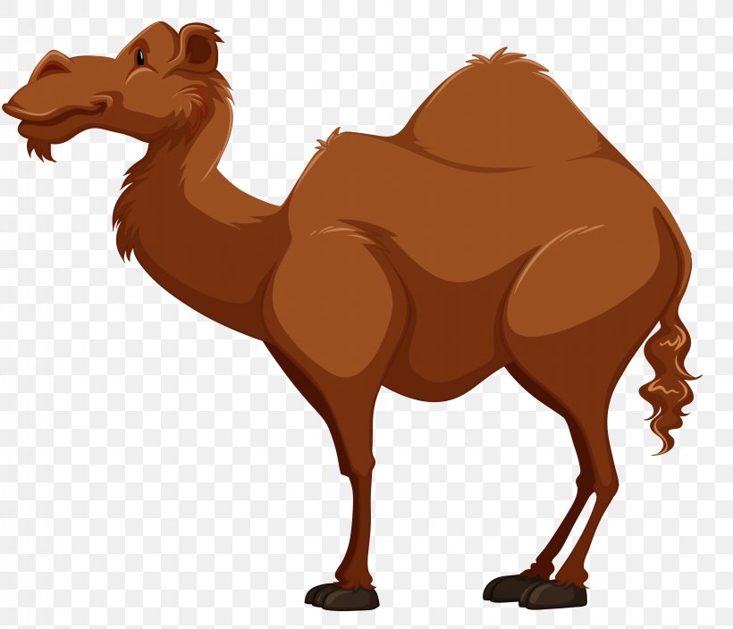Bactrian Camel Dromedary Clip Art, PNG, 5720x4917px, Bactrian Camel, Animal Figure, Arabian Camel, Camel, Camel Like Mammal Download Free