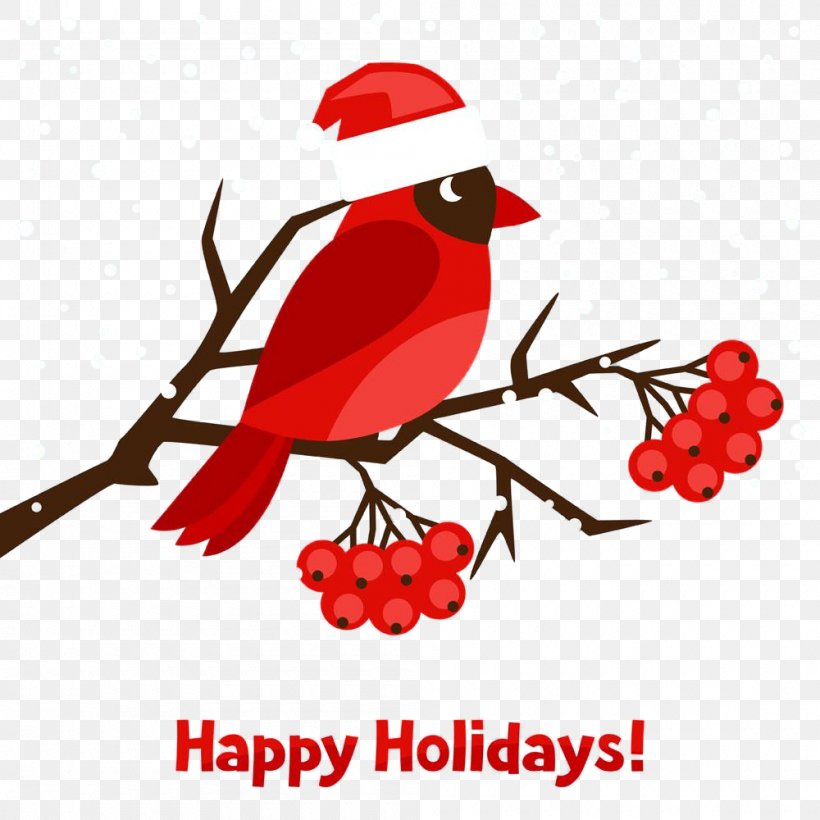 Bird Branch Clip Art Cardinal Songbird, PNG, 1000x1000px, Bird, Beak, Branch, Cardinal, Perching Bird Download Free