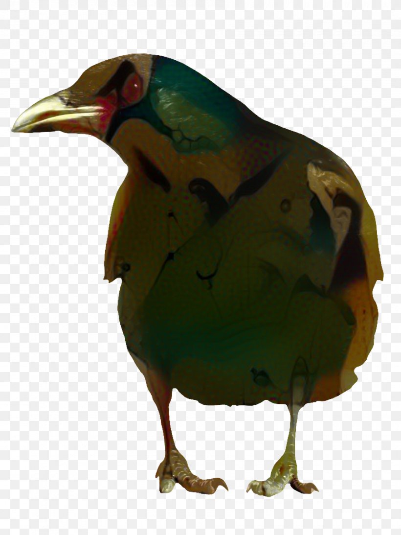 Bird Cartoon, PNG, 900x1200px, Chicken, Beak, Bird, Common Raven, Crow Download Free