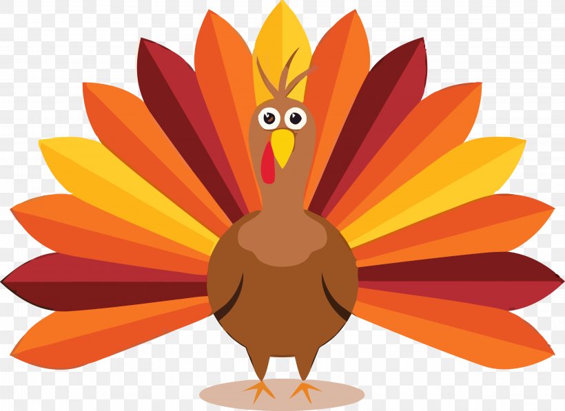 Thanksgiving Turkey, PNG, 3259x2373px, Thanksgiving Turkey, Bird, Flower, Orange, Petal Download Free