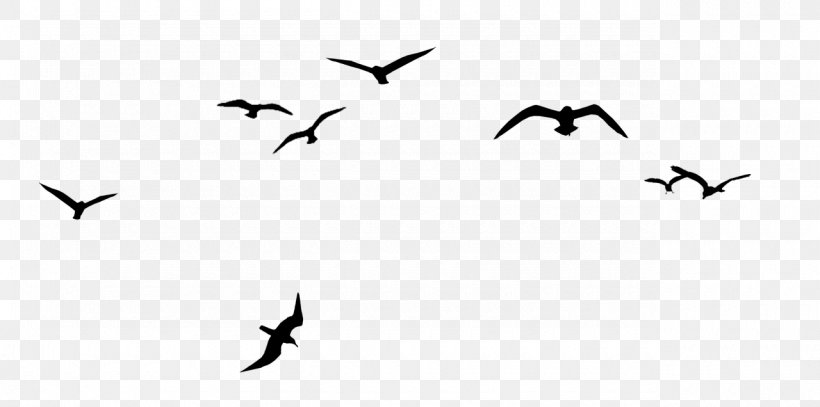 Bird Flock V Formation Clip Art, PNG, 1280x636px, Bird, Animal, Animal Migration, Animation, Beak Download Free