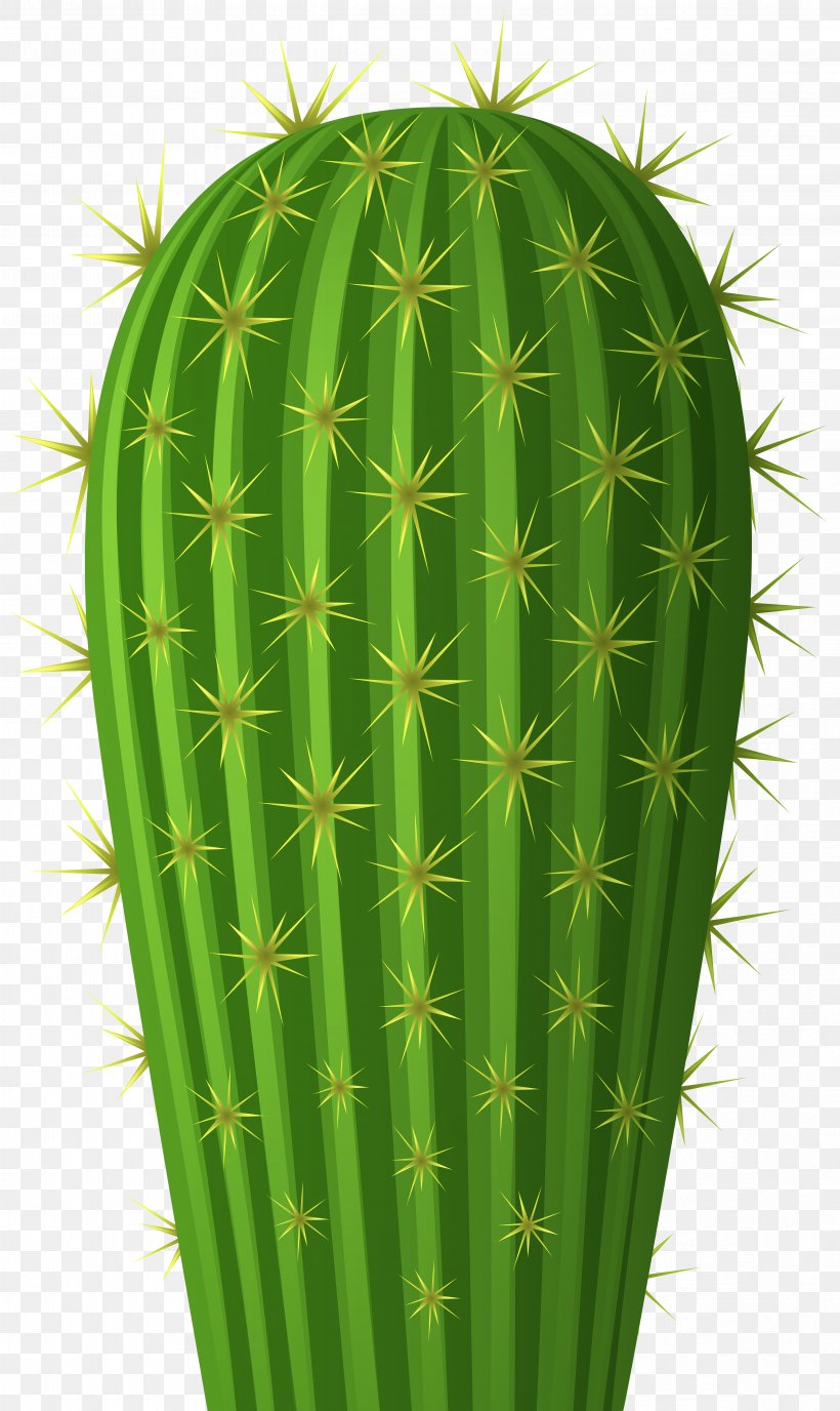 Clip Art Cactus Image Transparency, PNG, 4766x8000px, Cactus, Art, Caryophyllales, Flowering Plant, Flowerpot Download Free