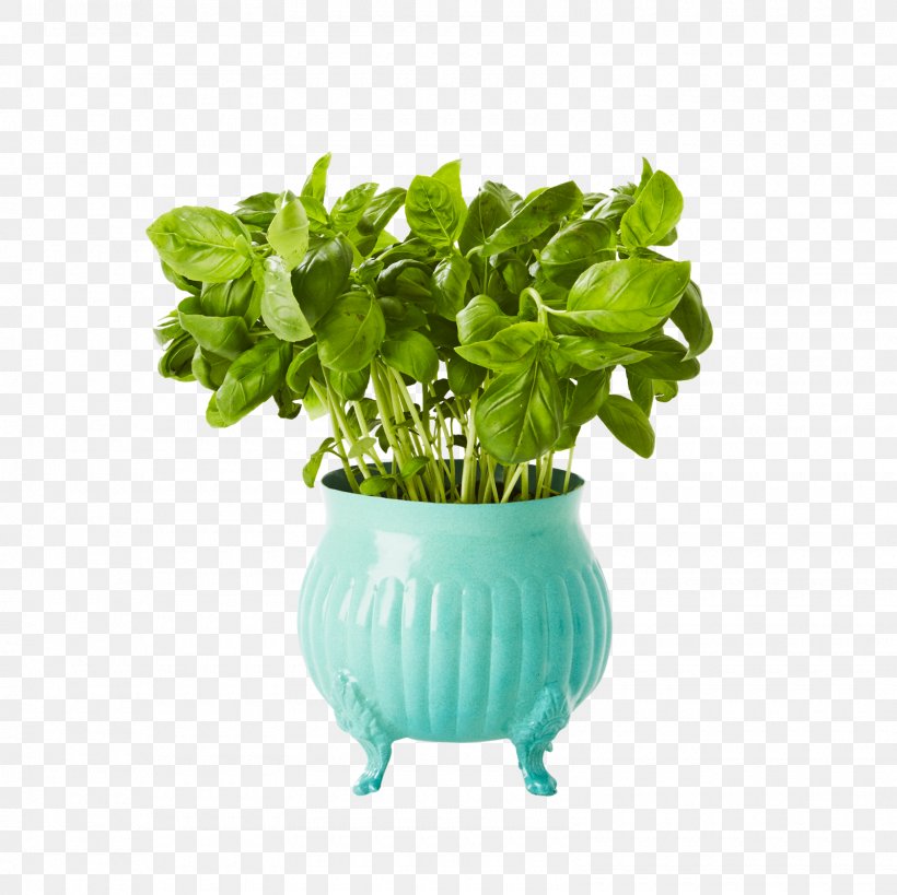 Flowerpot Plant Gardening Plastic, PNG, 1600x1600px, Flowerpot, Basil, Bulb, Crock, Flower Download Free