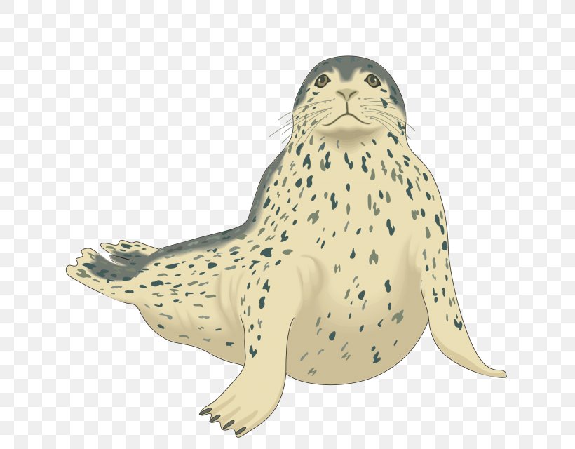 Harp Seal Pinniped Harbor Seal Clip Art, PNG, 640x640px, Harp Seal, Animal, Animal Figure, Beak, Bird Download Free