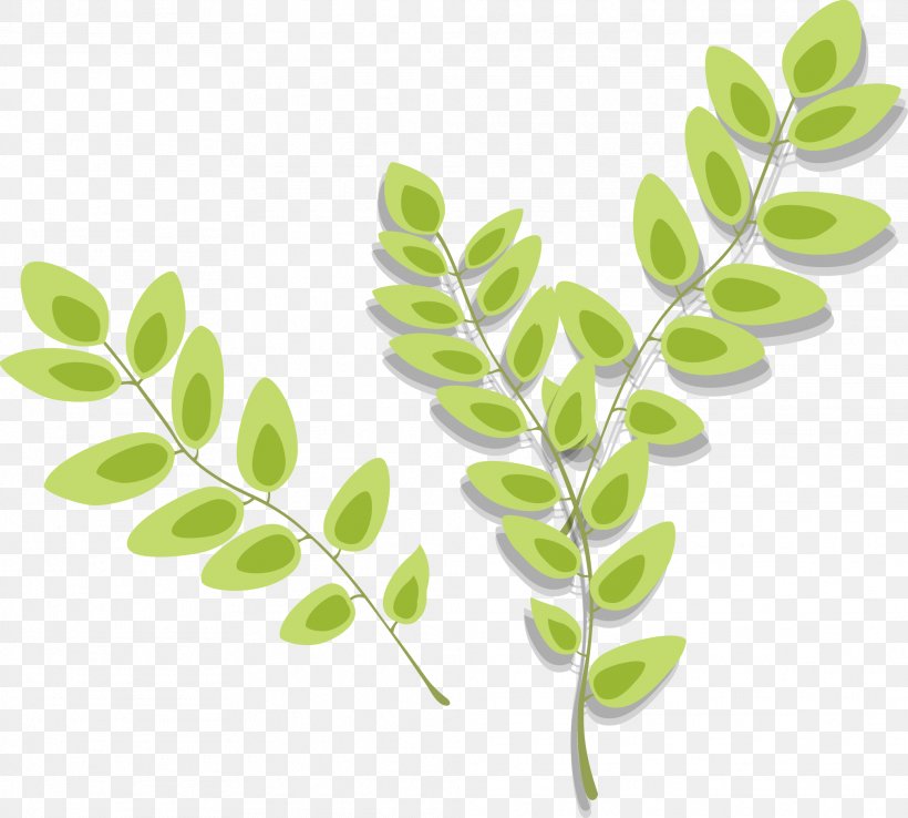 Image Leaf Vector Graphics Plants, PNG, 2023x1822px, Leaf, Branch, Cartoon, Copyright, Element Download Free