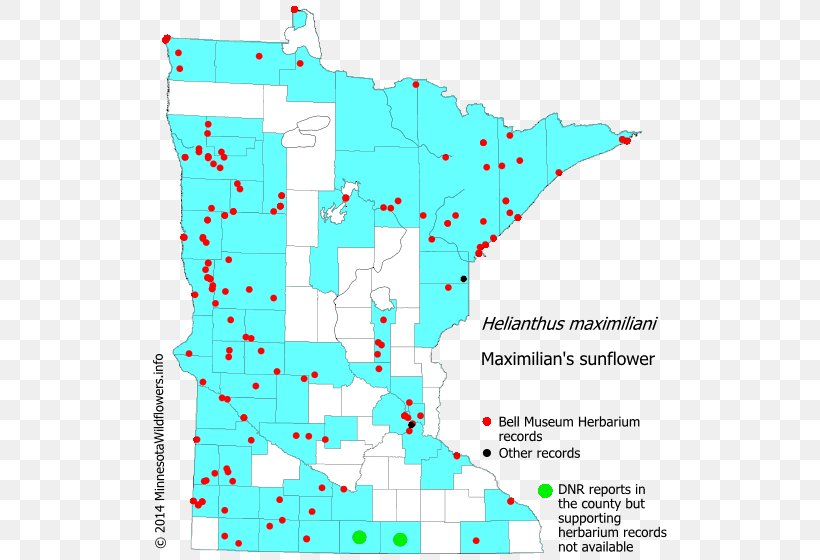 Minnesota Spotted Joe-pye Weed Perennial Sow Thistle Map Noxious Weed, PNG, 522x560px, Minnesota, Area, Common Couch, Diagram, Invasive Species Download Free