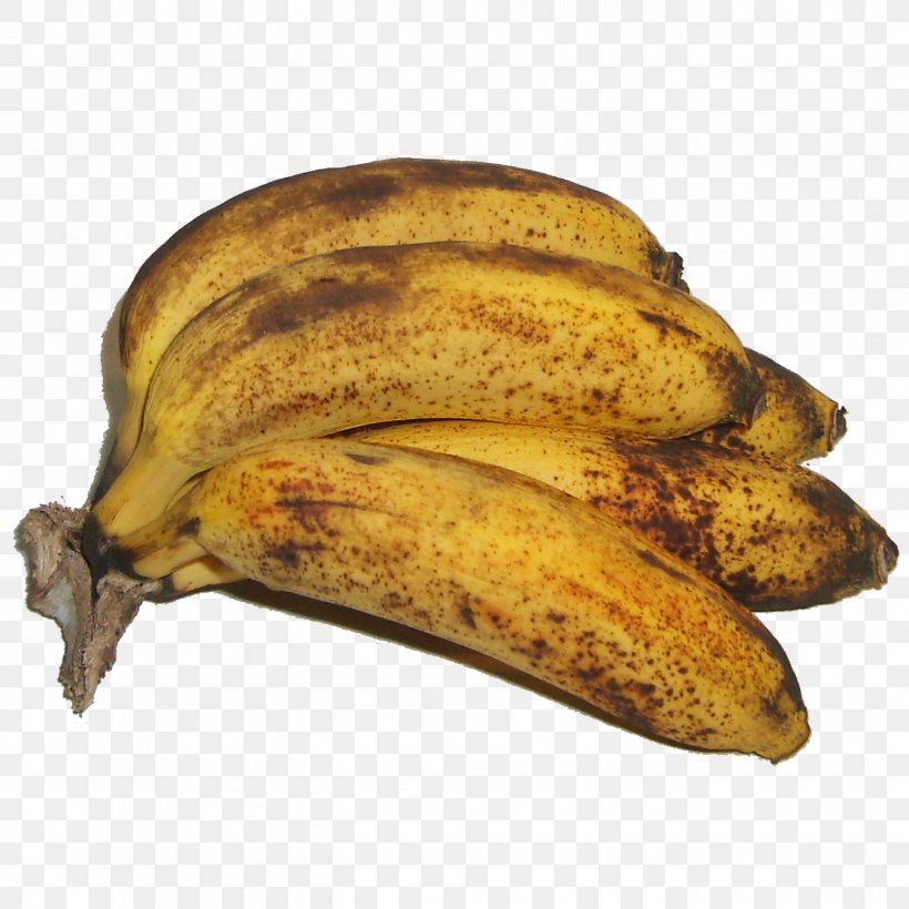 Saba Banana The Art Of Peer Pressure Ultra-leftism Cooking Banana Islamo-Leftism, PNG, 1350x1350px, Saba Banana, Banana, Banana Family, Commodity, Concept Download Free