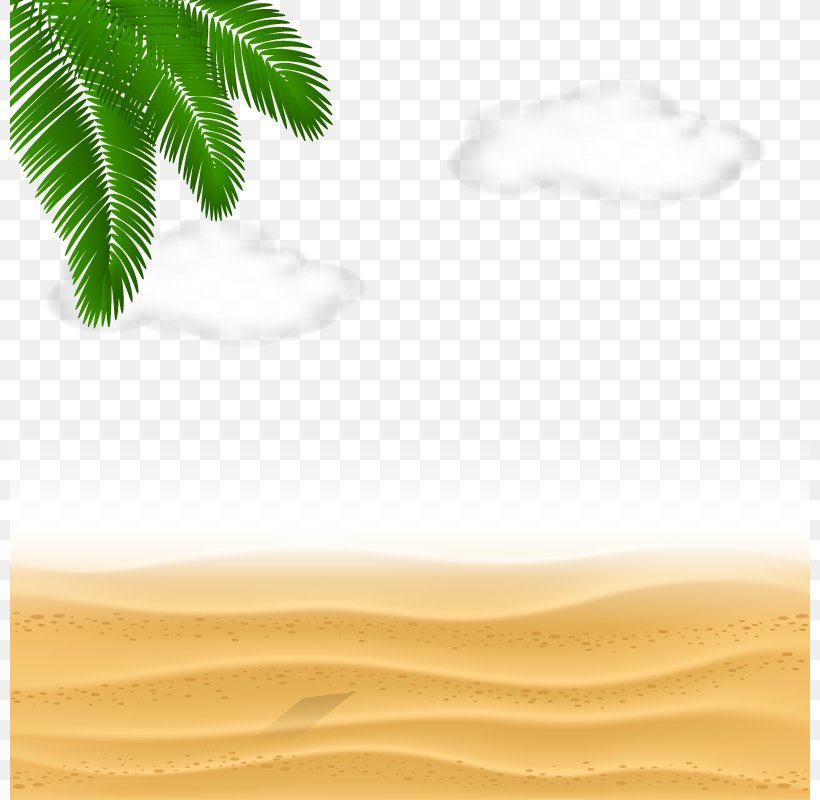 Sand Euclidean Vector Sea, PNG, 800x800px, Sand, Aeolian Landform, Beach, Desert, Erg Download Free