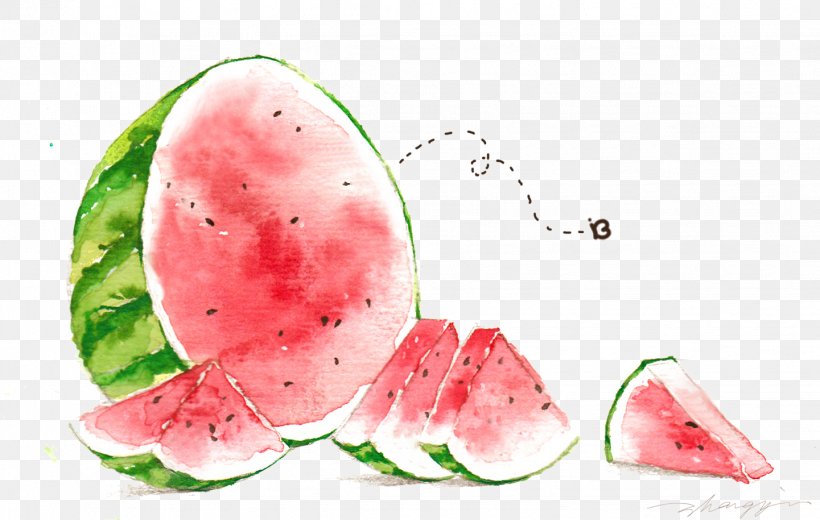 Watermelon Watercolor Painting Illustration, PNG, 1441x915px, Watermelon, Auglis, Citrullus, Cucumber Gourd And Melon Family, Food Download Free