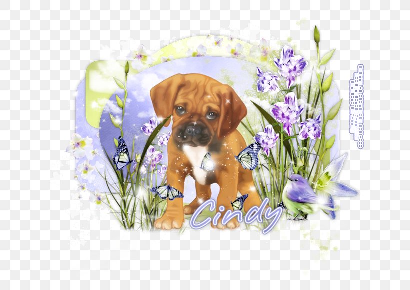 Puggle Puppy Boxer Dog Breed Companion Dog, PNG, 650x580px, Puggle, Boxer, Breed, Carnivoran, Companion Dog Download Free