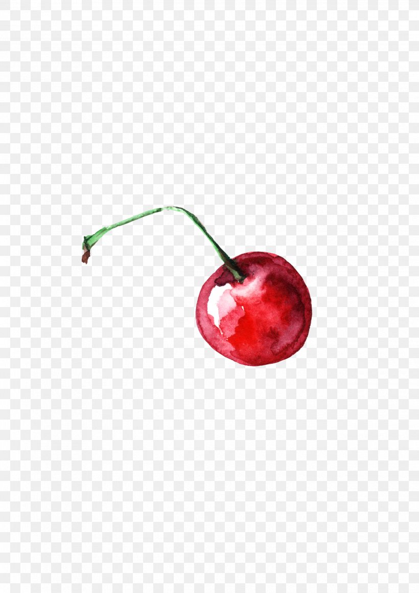 Cherry Watercolor Painting, PNG, 2480x3508px, Cherry, Color, Fruit, Gratis, Painting Download Free