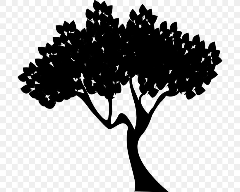 Clip Art Tree Report Dendropanax Morbiferus Graphics, PNG, 700x655px, Tree, Blackandwhite, Botany, Branch, Deodar Cedar Download Free