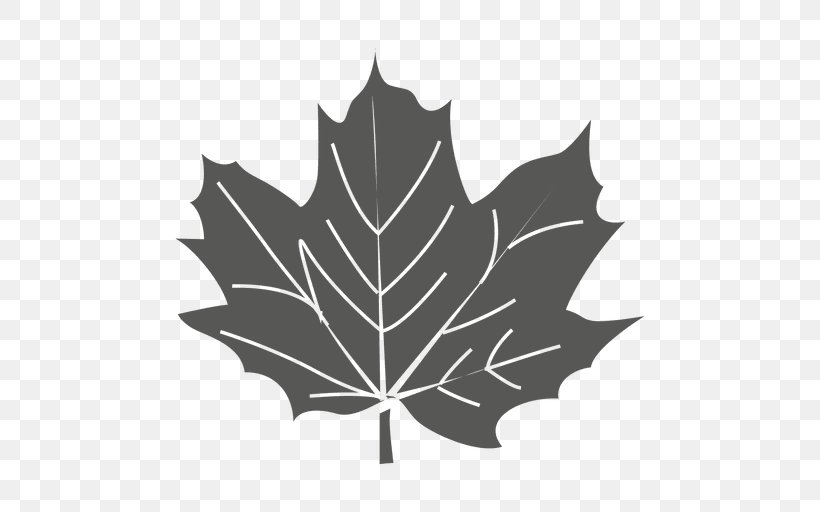 Maple Leaf Sycamore Maple Green, PNG, 512x512px, Maple Leaf, Black And White, Canadian Gold Maple Leaf, Drawing, Flag Of Canada Download Free