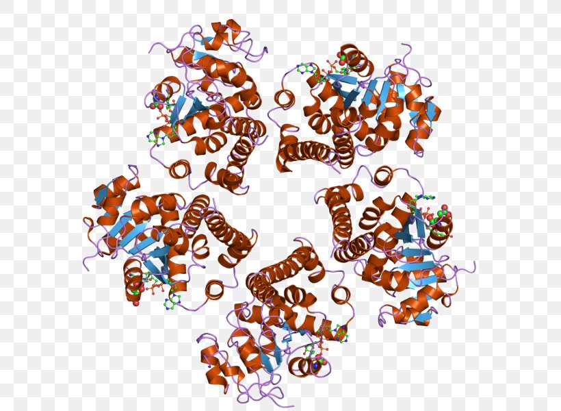 Pyrroline-5-carboxylate Reductase PYCR1 Enzyme Gene, PNG, 800x600px, Enzyme, Art, Carboxylate, Catalysis, Crystal Download Free