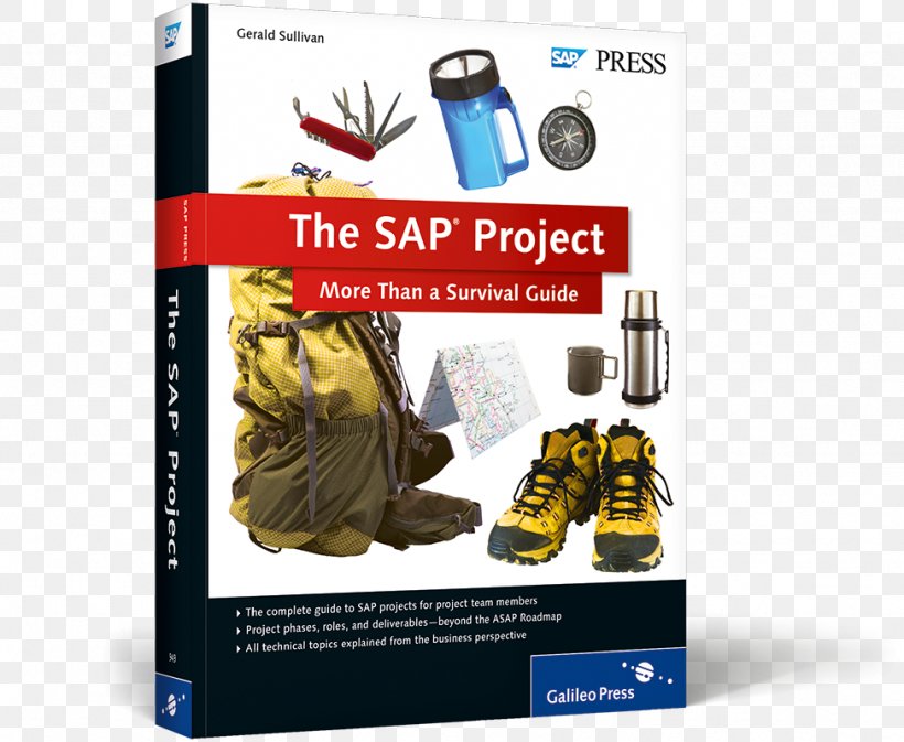 The SAP Project: More Than A Survival Guide Surviving An SAP Audit Project Management Project Team, PNG, 974x800px, Project, Book, Business, Business Process, Implementation Download Free