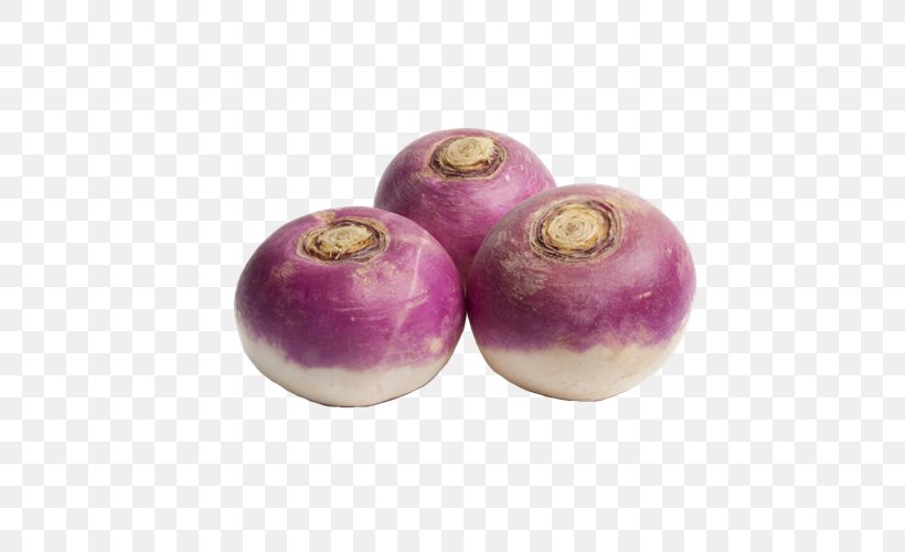 Turnip Vegetable Foftpool Sa Food Rutabaga, PNG, 500x500px, Turnip, Bead, Brassica Rapa, Cooking, Foftpool Sa Download Free