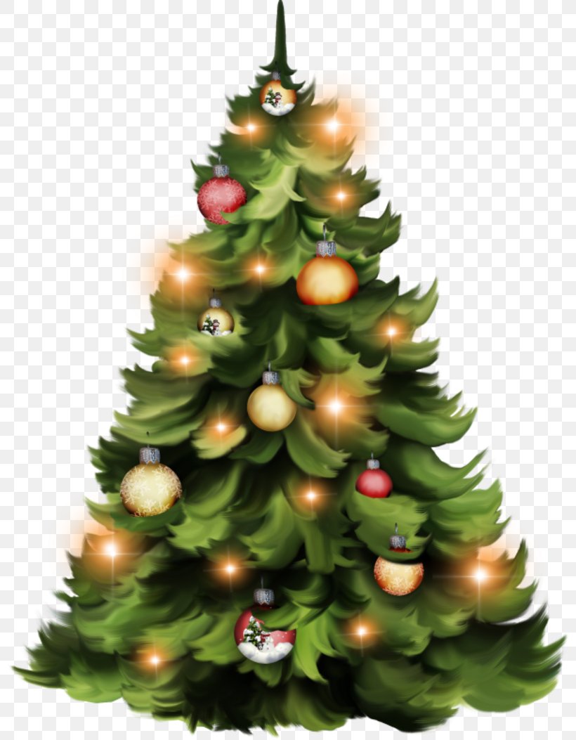 Christmas Tree Christmas Day Christmas Ornament Spruce Fir, PNG, 800x1053px, Christmas Tree, Christmas, Christmas Day, Christmas Decoration, Christmas Ornament Download Free