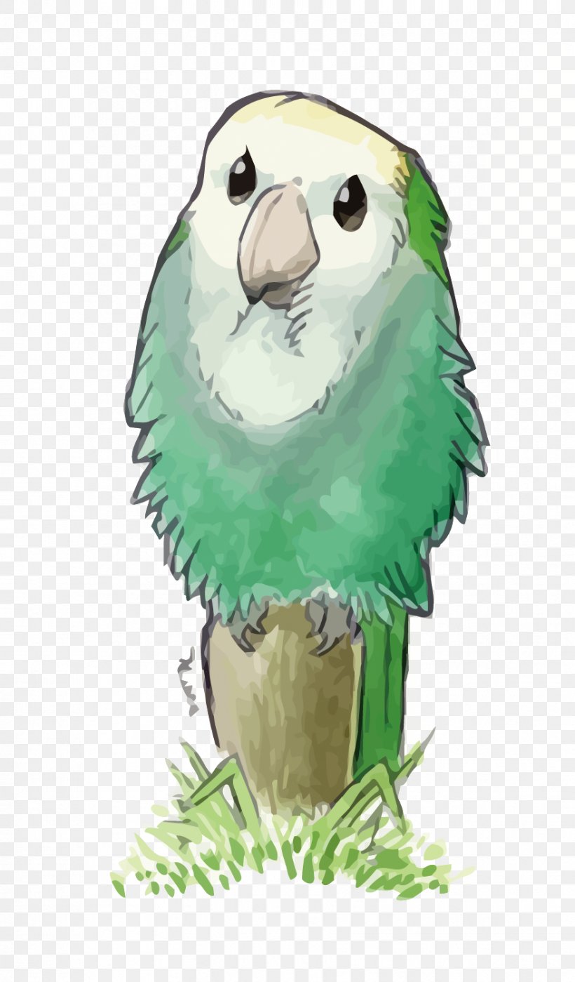 Lovebird True Parrot Illustration, PNG, 879x1500px, Lovebird, Artworks, Beak, Bird, Bird Of Prey Download Free