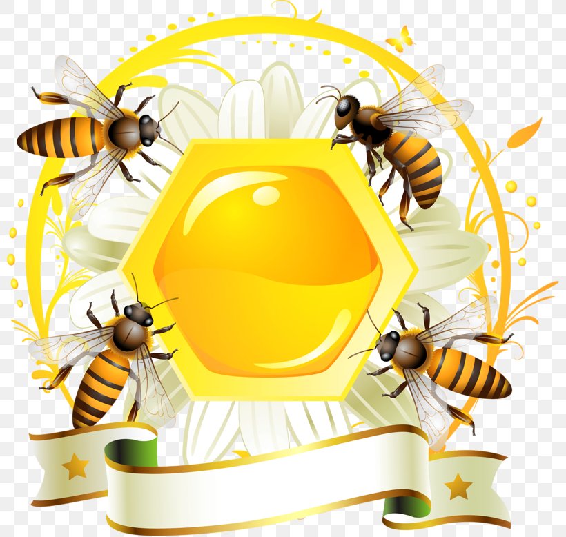 Honey Bee Honey Bee Label Honeycomb, PNG, 800x778px, Bee, Apiary, Arthropod, Beehive, Food Download Free