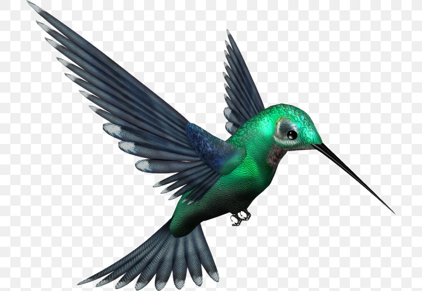 Hummingbird Clip Art, PNG, 719x566px, Hummingbird, Beak, Bird, Fauna, Feather Download Free
