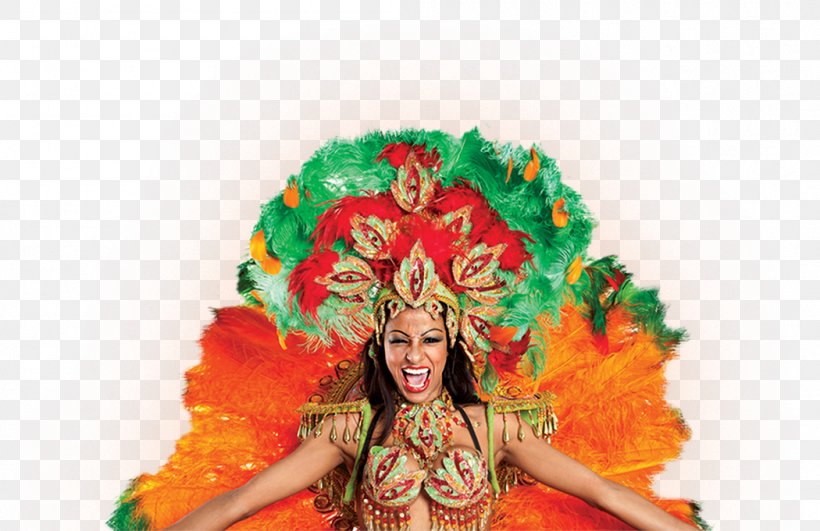 Mardi Gras In New Orleans Carnival In Rio De Janeiro Brazilian Carnival, PNG, 1050x681px, Mardi Gras In New Orleans, Block Party, Brazilian Carnival, Carnival, Carnival In Rio De Janeiro Download Free