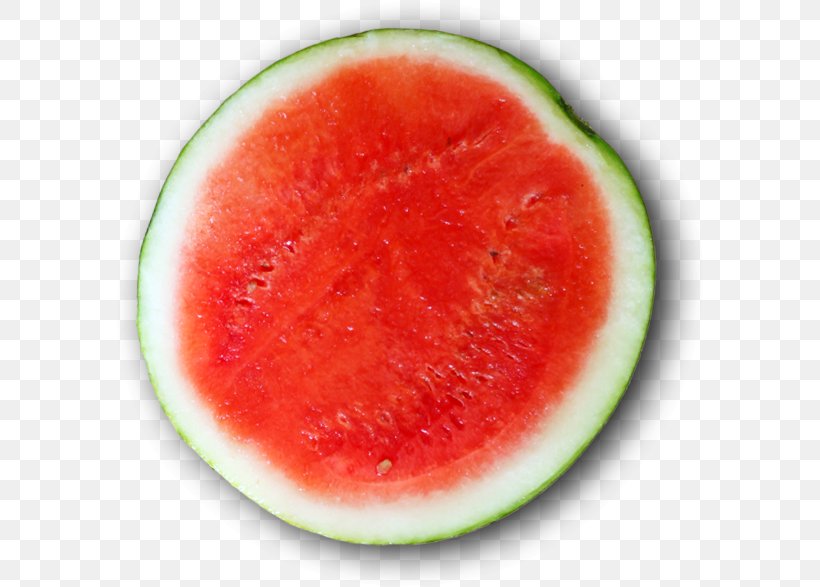 Watermelon Business Empresa Internet Profit, PNG, 590x587px, Watermelon, Business, Citrullus, Cucumber Gourd And Melon Family, Empresa Download Free