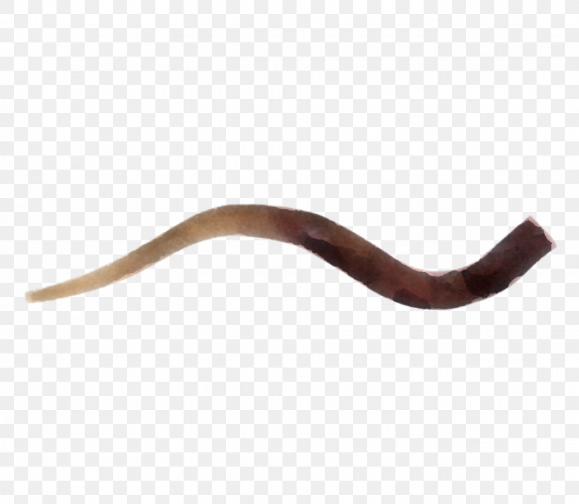 Worm, PNG, 920x800px, Worm Download Free