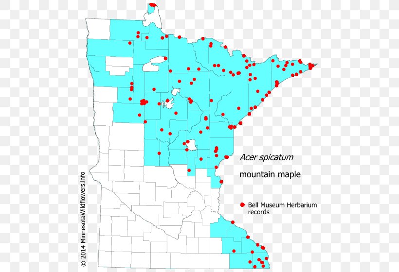 Line Point Angle Map Tuberculosis, PNG, 500x560px, Point, Area, Diagram, Map, Text Download Free